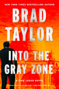 Into gray zone book cover